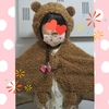 くまさんが🐻