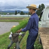 特別栽培米・さゆり米　　～田植え～