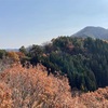 2021.11.07 久渡寺山～岩落山～ライオン岩