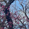 ふれて見つめて心に記憶させるあなたを景色ごと