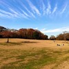 横浜　根岸森林公園