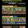 パズドラ　707日目　チャレダンLv.9　回復なしは安定のパールのマルチ