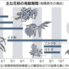 秋の花粉症