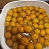 金柑の甘露煮作りました。