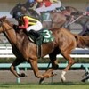 日曜競馬　回顧