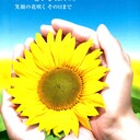 薬剤師が太陽光発電を始めてみた