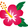 たんぽぽの開花時期は 綿毛が飛ぶ時期は たんぽぽの種類も大解説 春夏秋冬 たんぽぽの開花時期は 綿毛が飛ぶ時期は たんぽぽの種類も大解説 春夏秋冬