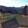 免許更新
