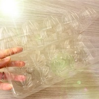 卵パックにバジルの種まき 二十日大根その他の種まき ハーブと庭と健康と