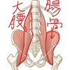 ２１．4.7 　小腰筋はお持ちですか？？