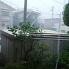 秋田大雨