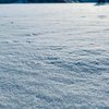 雪が降ると
