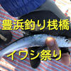 豊浜イワシ祭り　今シーズンも始まりました。　豊浜海釣り公園　釣り桟橋　サビキ釣り釣行記