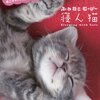 猫好き悶絶！「寝ん猫」DVDレビュー：癒やし効果は？他社猫動画との違いを徹底比較