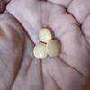 今日もお疲れ様♪いづや すっぽん生酵素で元気チャージ！