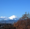 「どうする日本！」だと思います。