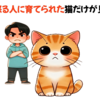 たくさん怒られた猫…人間も同じだ！