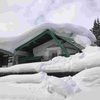 住宅の雪災（せっさい）🏡建物の被害が目立つ津軽地方⛄
