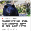 【クマイシス？！＝頻発するクマ被害……10／27　日本列島クマだらけ！　絶滅したはずの半島・四国・九州が「クマ空白域」でなくなる衝撃】＃481