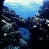 大度浜海岸（プール）＆水路　スキューバダイビング　ログ446＆447
