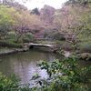 池田山公園の散歩