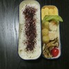 今日もお弁当～