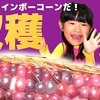 12月4日の動画