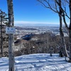 断酒６２９日目  里山巡り(青山 白旗山)