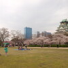 大阪城 西の丸庭園でのお花見