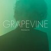 GRAPEVINE「Burning tree」