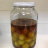 カナダで簡単に手に入るもので梅酒を作ってみました。