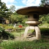 9月の肥後細川庭園に行ってきました