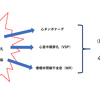 急性心筋梗塞（AMI）の治療と合併症