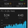 今日のランニング～３月１３日～