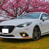 毎年の恒例、河津桜コラボ②ピュアEV雑感