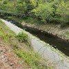 4月22日(水)秩父フライフィールドの河川情報