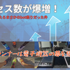 アクセス数が爆増！…と思ったら、まさかのbot祭りだった件
