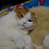 今日手術無事完了！
