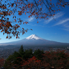 紅葉狩りと富士山