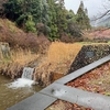 おちばの里親水公園（静岡県湖西）