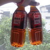極楽