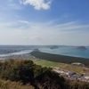 今日の五行歌294～青に