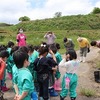 田植え