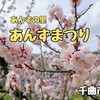 あんずまつり（千曲市）− 窪山展望台公園から見渡すピンク色に包まれた桃源郷