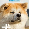 【書籍】BRUTUS特別編集 増補改訂版『犬だもの。』『猫だもの。』2023年4月11日発売！予約サイト まとめ
