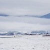 大雪のはずが・・・