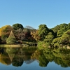 六義園で美しい紅葉が拝めました😊