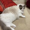 エアコンの掃除をとても熱心に見学したふくちゃん