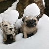 雪がいっぱい降ったら思い出す映画「シャイニング」