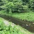 7月16日(水)秩父フライフィールドの河川情報